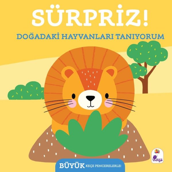 Sürpriz! Doğadaki  Hayvanları Tanıyorum