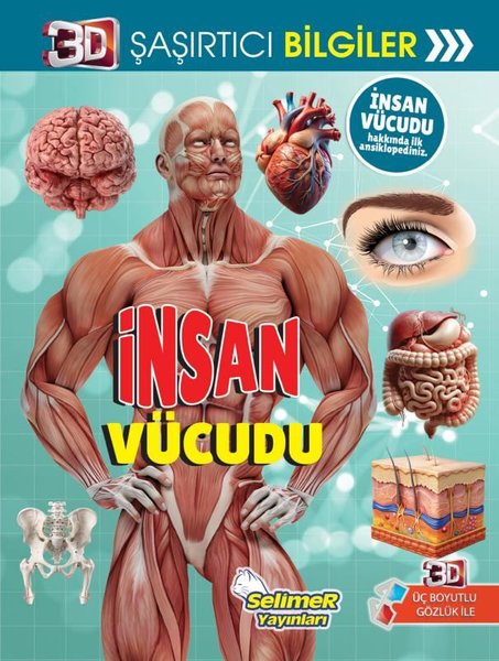 İnsan Vücudu - 3D Şaşırtıcı Bilgiler