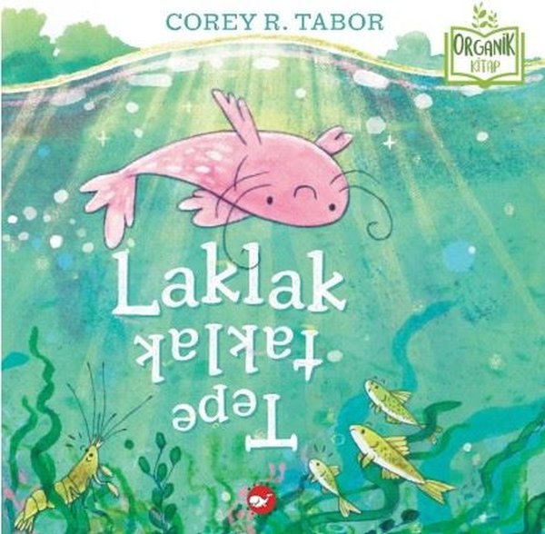 Laklak Tepetaklak - Organik Kitap