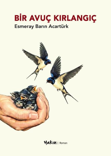 Bir Avuç Kırlangıç