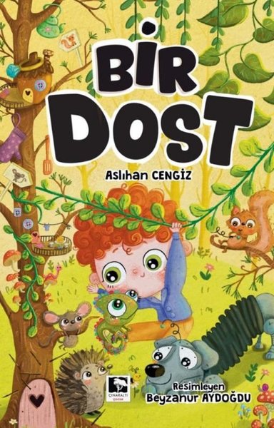 Bir Dost